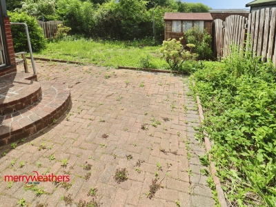 Picture 8